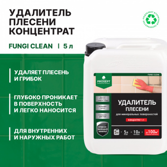 Удалитель плесени 5 л (1:1) концентрат до60 м² PROSEPT FUNGI CLEAN (12)