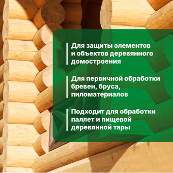 2Антисептик для влажной древесины PROSEPT BiO концентрат 1:19  / 1 л