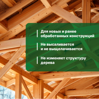 2ОГНЕБИОЗАЩИТА для древесины PROSEPT 1 группа, бесцветный готовый состав / 10 л