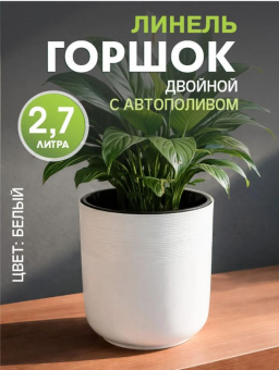 М8698