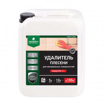 Удалитель плесени PROSEPT FUNGI CLEAN концентрат 1:1 / 5 л