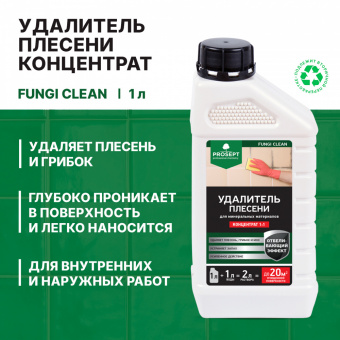 Удалитель плесени 1 л (1:1) концентрат до12 м² PROSEPT FUNGI CLEAN (12)