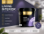 Краска интерьерная LIVING INTERIOR 1.3 кг Краска интерьерная LIVING INTERIOR 1.3 кг