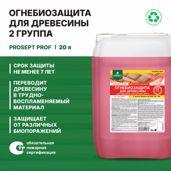 ОГНЕБИО PROF 2 группа 20л КРАСНЫЙ до 70 м² PROSEPT